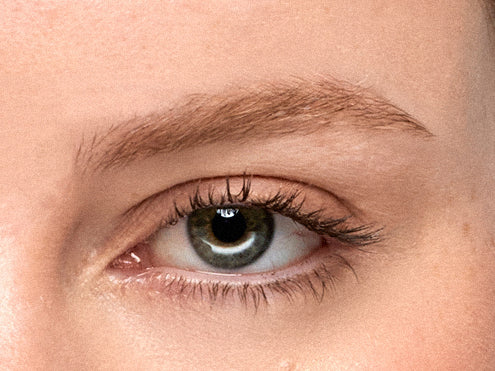Prepare the Brows